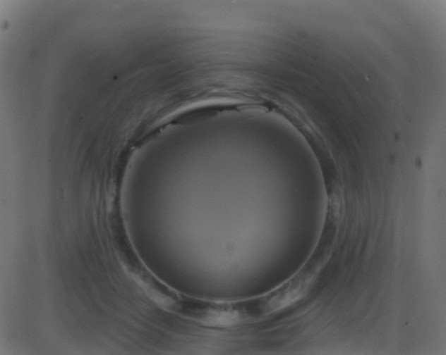 X0000086220458200704051244