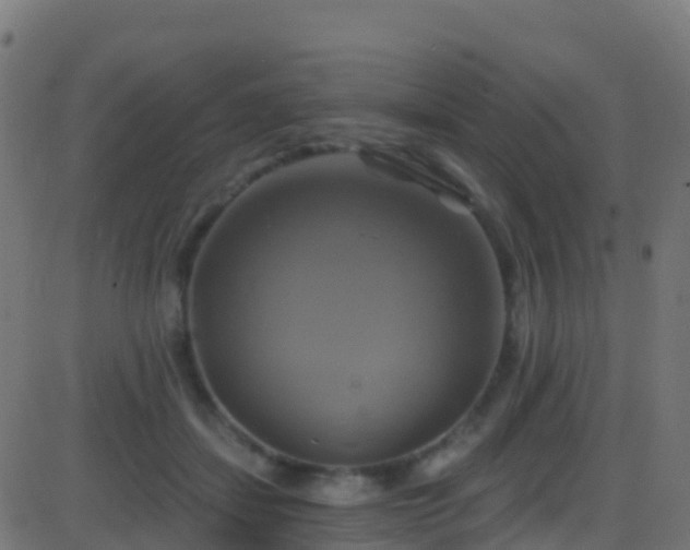 X0000086220459200704051245