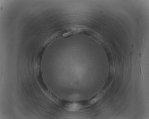 X0000086220460200704051245