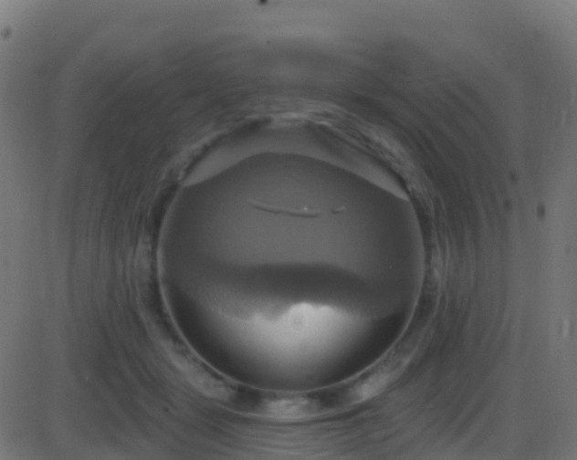 X0000086220461200704051245