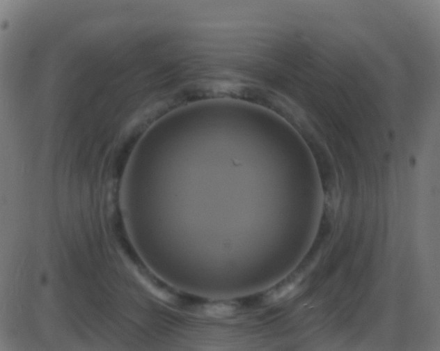 X0000086220462200704051245