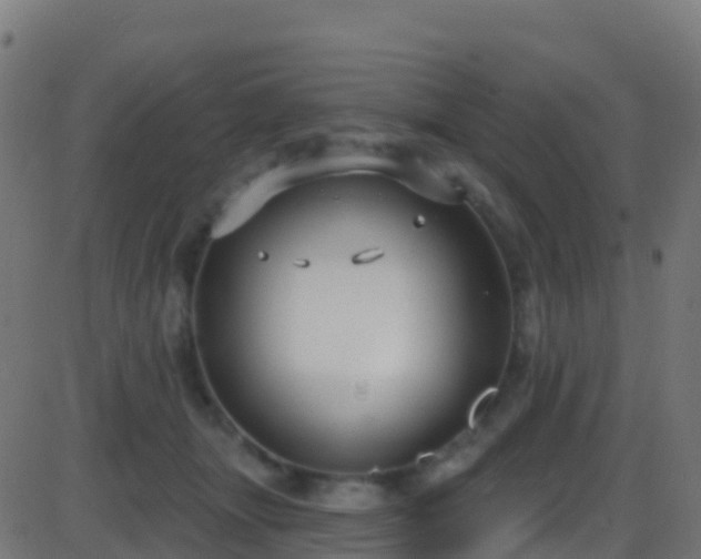 X0000086220463200704051245