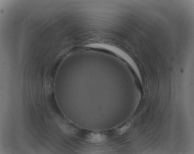 X0000086220464200704051245