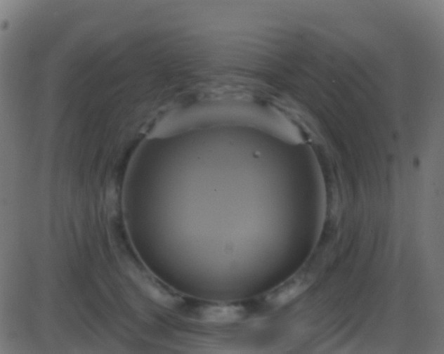 X0000086220465200704051245