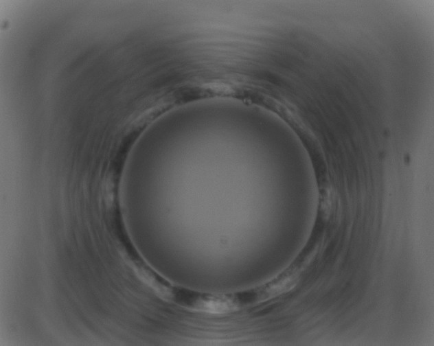 X0000086220466200704051245