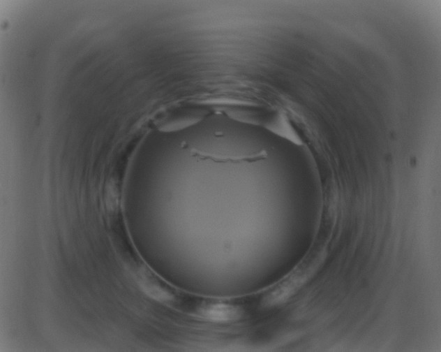 X0000086220467200704051245