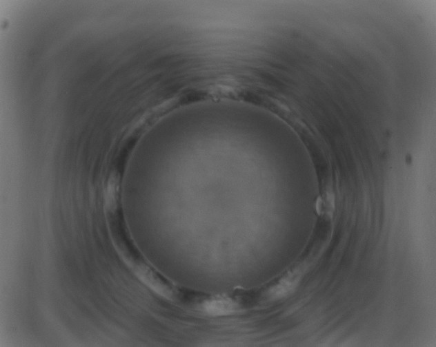 X0000086220468200704051245