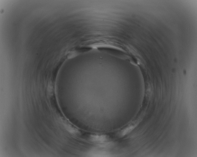 X0000086220469200704051245