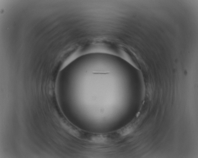 X0000086220470200704051245