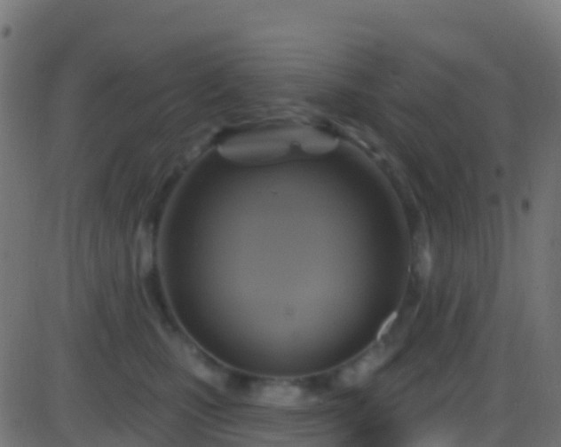 X0000086220471200704051245