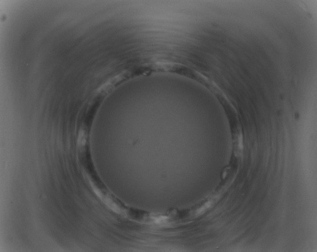 X0000086220472200704051245