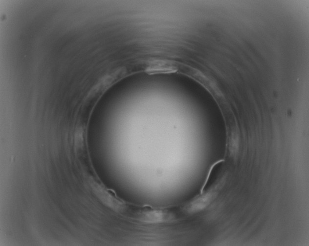 X0000086220473200704051245