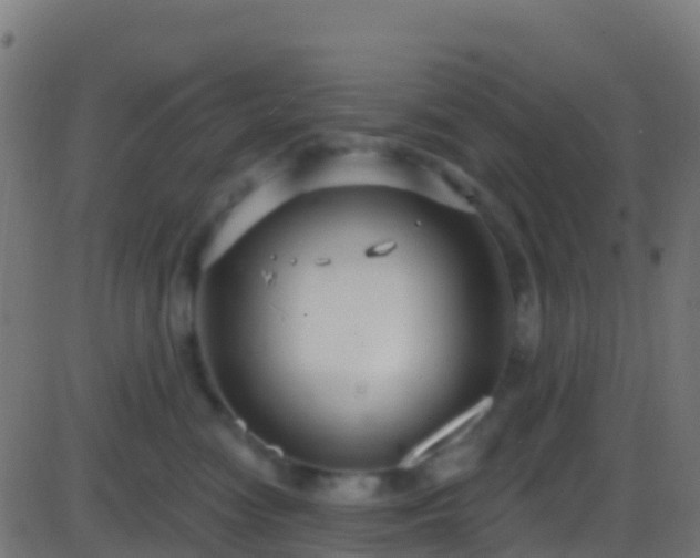 X0000086220474200704051245