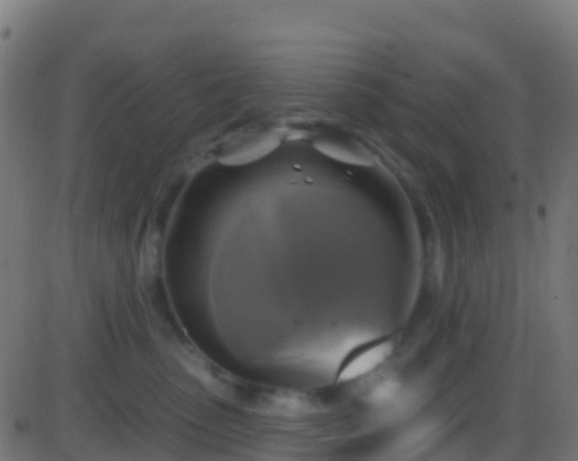 X0000086220475200704051245