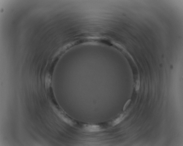 X0000086220476200704051245