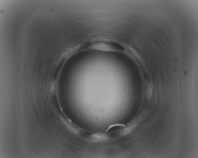 X0000086220477200704051245