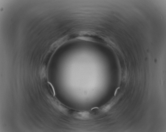 X0000086220478200704051245