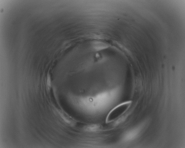 X0000086220479200704051245