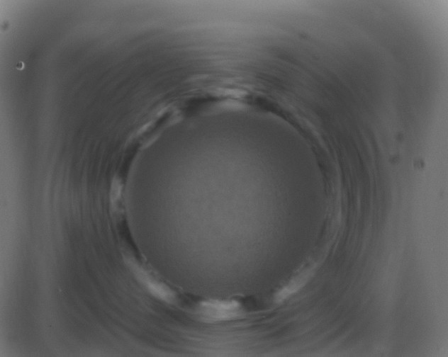 X0000086220480200704051245