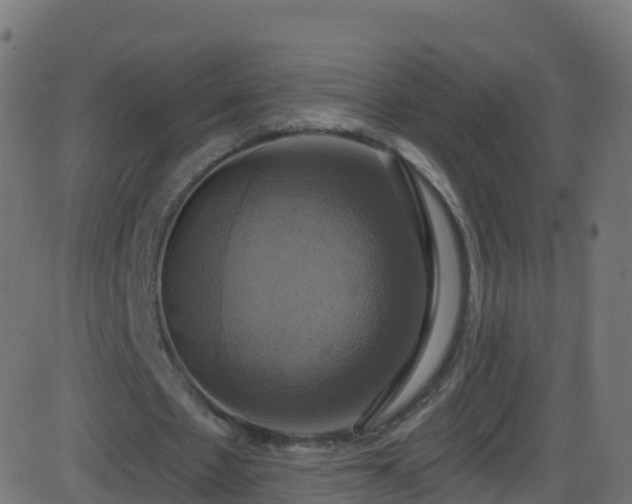 X0000086220481200704051244