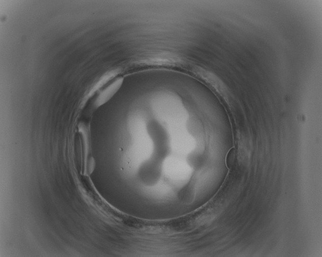 X0000086220482200704051244