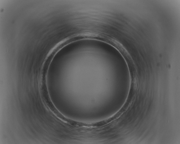 X0000086220484200704051244