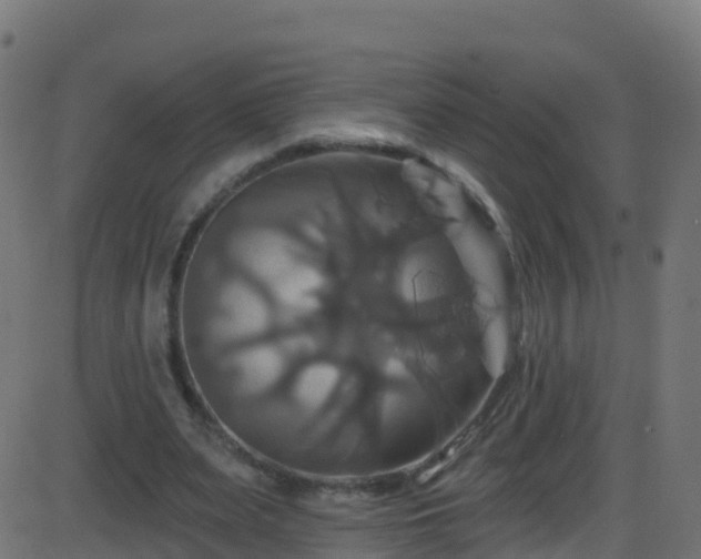 X0000086220487200704051244