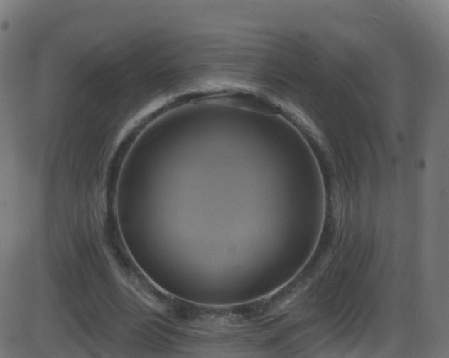 X0000086220488200704051244