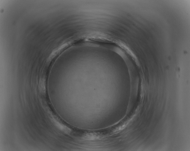 X0000086220489200704051244