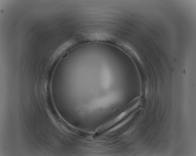 X0000086220491200704051244