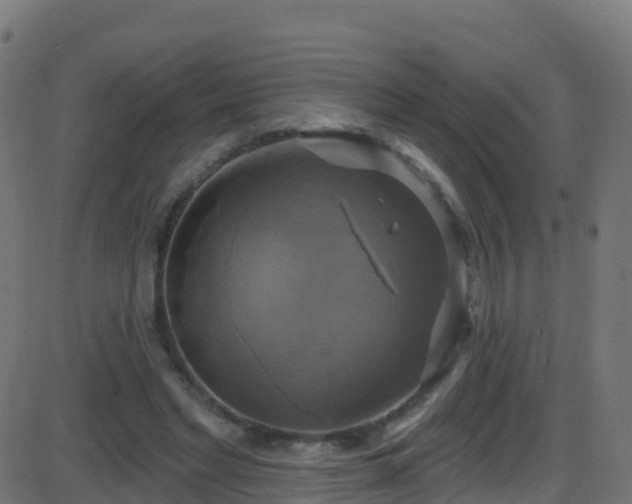 X0000086220493200704051244