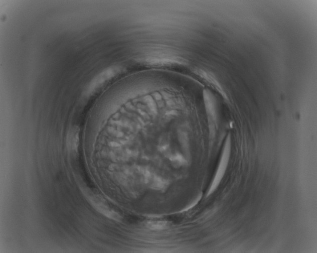 X0000086220495200704051244