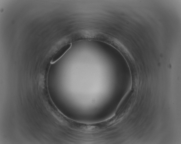 X0000086220497200704051244