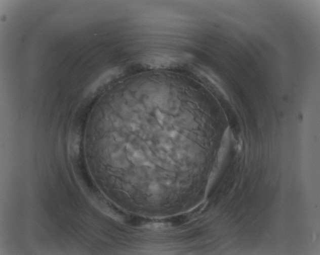 X0000086220499200704051244