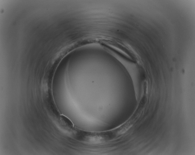 X0000086220500200704051244