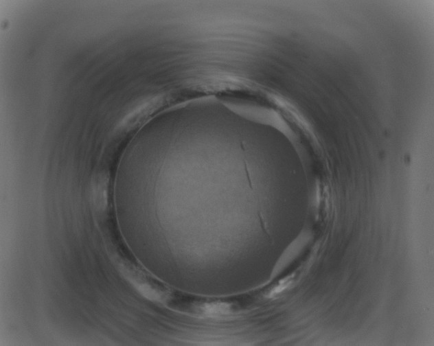 X0000086220501200704051244