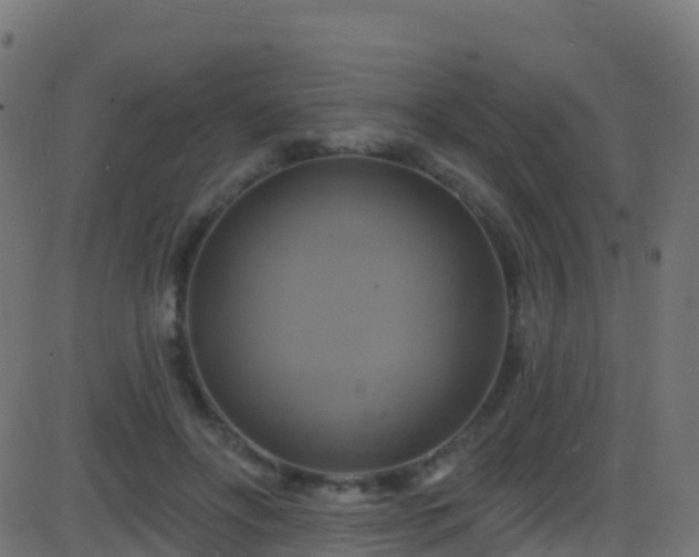 X0000086220502200704051244