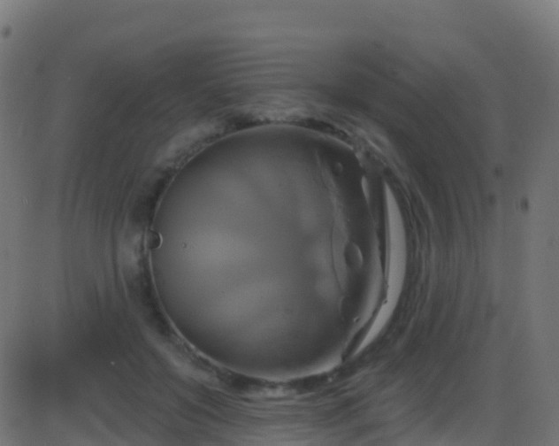 X0000086220503200704051244