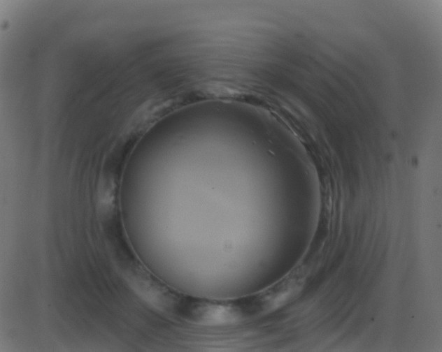 X0000086220507200704051244