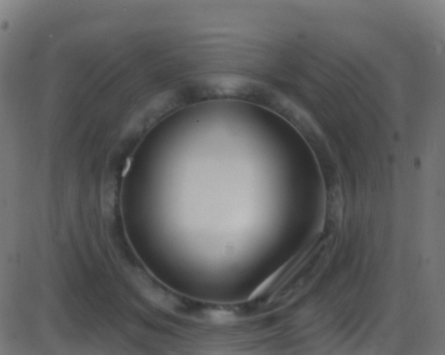 X0000086220509200704051244