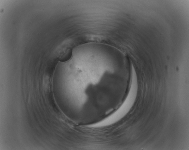 X0000086220511200704051244