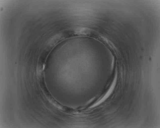 X0000086220513200704051244