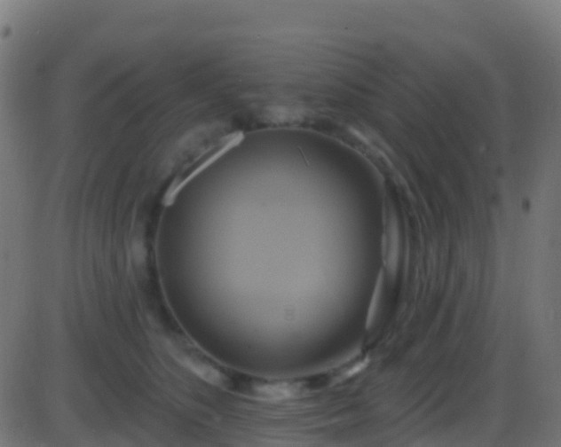 X0000086220516200704051243