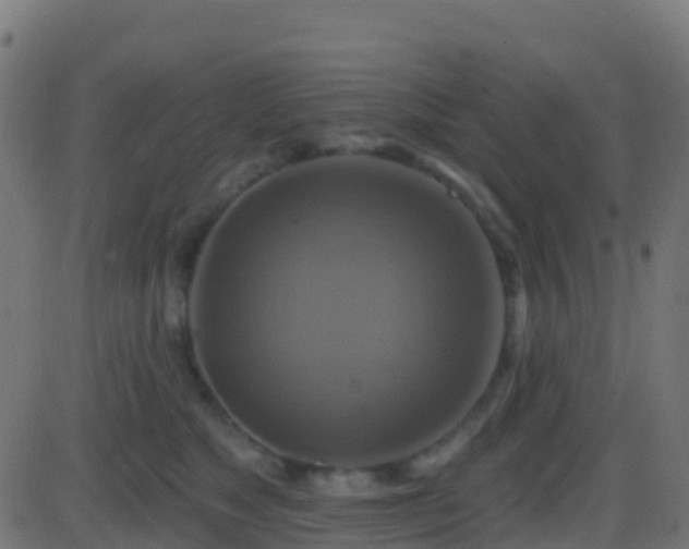 X0000086220517200704051243