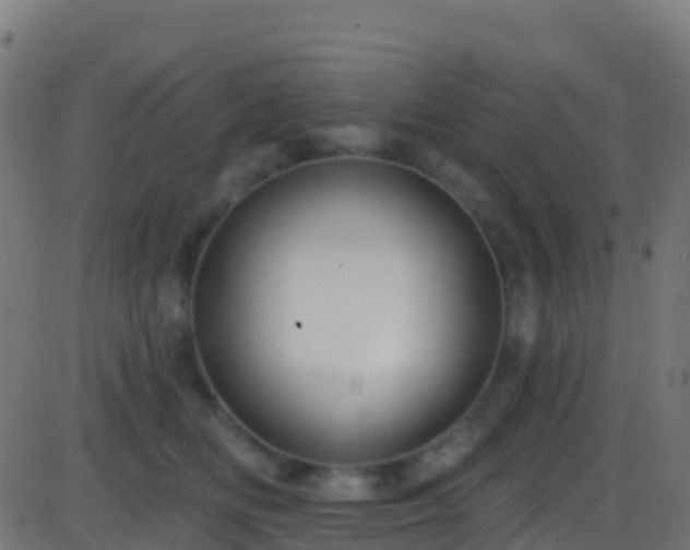 X0000086220518200704051243