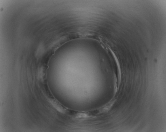 X0000086220519200704051243