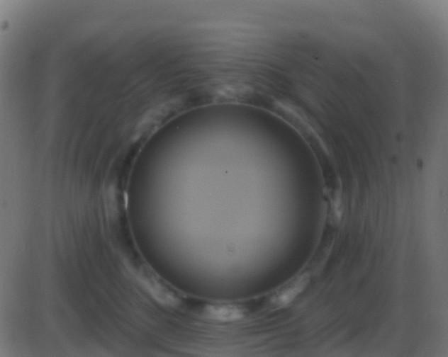 X0000086220520200704051243