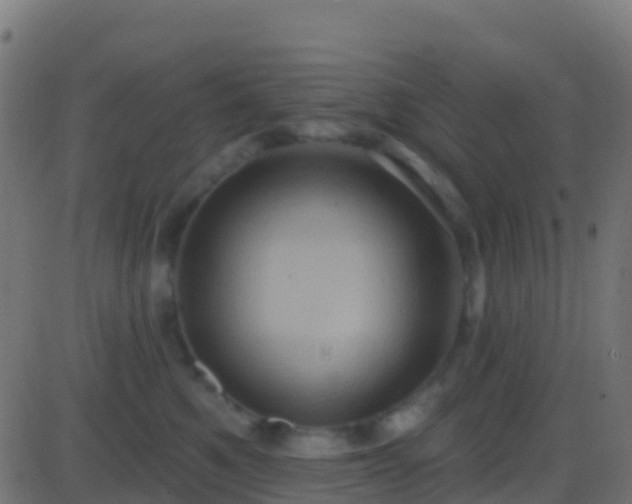 X0000086220521200704051243