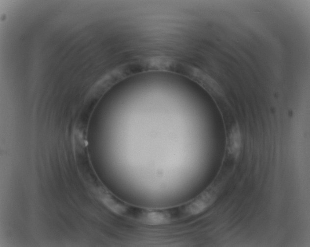 X0000086220522200704051243