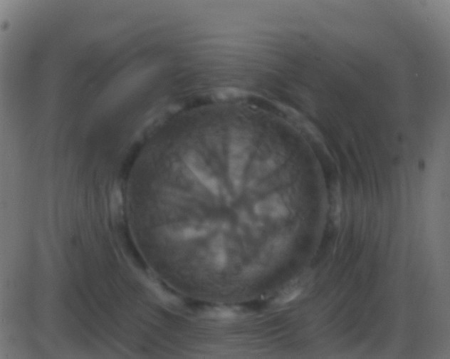 X0000086220523200704051243